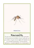 Προεπισκόπηση - Flashcards - Έντομα αληθινές εικόνες - Teacher's Little Tales - Σελίδα 3