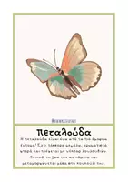 Προεπισκόπηση - Flashcards - Έντομα με cute εικόνες - Teacher's Little Tales - Σελίδα 1