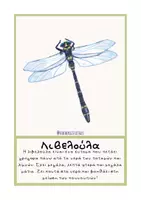 Προεπισκόπηση - Flashcards - Έντομα με cute εικόνες - Teacher's Little Tales - Σελίδα 2