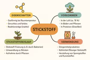 Vorschau - Arbeitsblätter - Lernposter + Arbeitsblätter zum Thema "Stickstoff" + Lösung & MP3 + Mindmap + Infografik - Seite 3