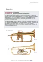Vorschau - Arbeitsblätter - Vom Ton zur Klassenmusik | 03 Blechblasinstrumente - Seite 3