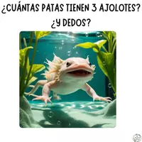 Vista previa - Refuerzo / NEE / Materiales de apoyo - PROBLEMAS VISUALES NIVEL 3 - RAZONAMIENTO (PARTE 2) - página 3