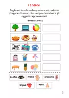 anteprima - Materiale di supporto/inclusione - VERIFICA DI SCIENZE - Pagina 1