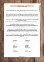 Vorschau - Arbeitsblätter - Insekten - Biene: Selbstlernheft - Seite 1