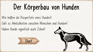 Vorschau - Arbeitsblätter - Körperbau Hund - Teil 1 (interaktive Datei, Arbeitsblätter, Onlineübungen etc.) - Seite 2
