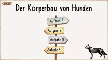 Vorschau - Arbeitsblätter - Körperbau Hund - Teil 1 (interaktive Datei, Arbeitsblätter, Onlineübungen etc.) - Seite 3