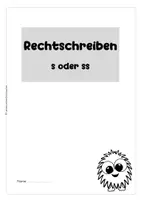 Vorschau - Arbeitsblätter - Rechtschreibtraining – Wörter mit s oder ss (Arbeitsblätter mit Lösungen) - Seite 2