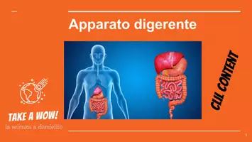 anteprima - Esercizi - Apparato_digerente_con_CLIL - Pagina di copertina