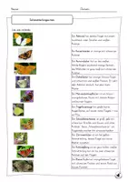 Vorschau - Unterrichtsreihen - Kleine Reihe - Schmetterlinge - Seite 3