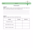 Vorschau - Arbeitsblätter - Sprossachse - Seite 1