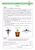 Vorschau - Arbeitsblätter - Wurzel - Deckblatt