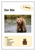 Vorschau - Arbeitsblätter - Der Bär 1. Kasse - Deckblatt