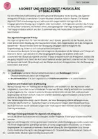 Vorschau - Arbeitsblätter - Agonist u. Antagonist - Dysbalancen (KI im SU) - Seite 2