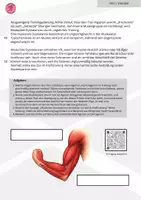 Vorschau - Arbeitsblätter - Agonist u. Antagonist - Dysbalancen (KI im SU) - Seite 3