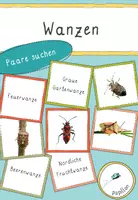 Vorschau - Mal- und Bastelvorlagen - Feuerwanze_Materialpaket - Seite 1