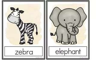 Vorschau - Bildkarten - Safari - Flashcards - Seite 1