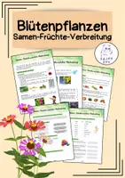Vorschau - Arbeitsblätter - Blütenpflanzen - Samen, Früchte und ihre Verbreitung - Deckblatt