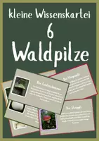 Vorschau - Arbeitsblätter - kleine Wissenskartei - 6 Pilze des Waldes - Lebensraum Wald - Deckblatt