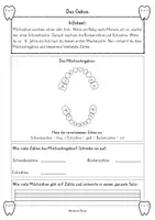 Vorschau - Stundenentwürfe - 2. Sequenz - das Gebiss - Wortspeicher und Arbeitsblätter - Seite 1