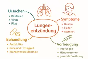 Vorschau - Arbeitsblätter - Lernposter + Arbeitsblätter zum Thema "Lungenentzündung" + Lösung & MP3 + Mindmap + Infografik - Seite 3