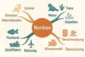Vorschau - Arbeitsblätter - Lernposter + Arbeitsblätter zum Thema "Nordsee" + Lösung & MP3 + Mindmap + Infografik - Seite 3