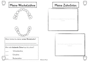 Vorschau - Arbeitsblätter - Meine Wackelzähne & Transparenz der Einheit - Zähne - Seite 1