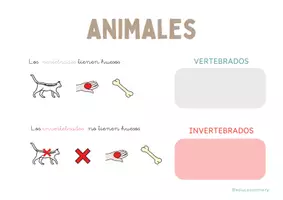 Vista previa - Refuerzo / NEE / Materiales de apoyo - Animales vertebrados e invertebrados - página 2