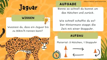 Vorschau - Stundenentwürfe - Stationenarbeit Safari - Seite 3