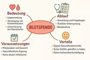 Vorschau - Arbeitsblätter - Lernposter + Arbeitsblätter zum Thema "Blutspende" + Lösung & MP3 + Mindmap + Infografik - Seite 3