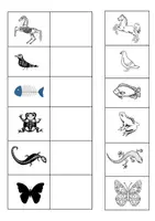 anteprima - Materiale di supporto/inclusione - Gli animali classe seconda. Vertebrati e invertebrati. - Pagina di copertina