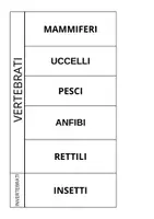 anteprima - Materiale di supporto/inclusione - Gli animali classe seconda. Vertebrati e invertebrati. - Pagina 1