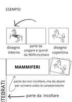 anteprima - Materiale di supporto/inclusione - Gli animali classe seconda. Vertebrati e invertebrati. - Pagina 2