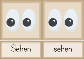 Vorschau - Bildkarten - Bildkarten: Unsere fünf Sinne - Seite 1