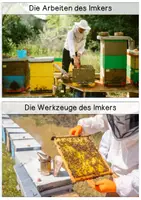 Vorschau - Text - Differenzierte Wissenskarten - Imker / Biene - Seite 1