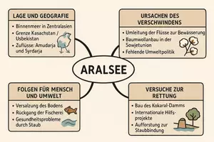 Vorschau - Arbeitsblätter - Lernposter + AB mit Fragen zum Thema "Aralsee" + Lösungsblatt + Mindmap + Infografik - Seite 3