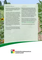 Vorschau - Arbeitsblätter - Biodiversität auf Ackerflächen - Seite 1