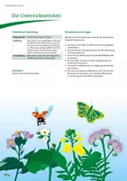 Vorschau - Arbeitsblätter - Biodiversität auf Ackerflächen - Seite 3
