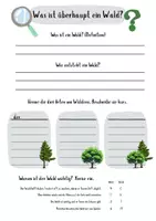 Vorschau - Stundenentwürfe - Der Wald - Lapbook - Unterrichtseinheit Klasse 3/4 - Seite 3