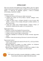 Vista previa - Hojas de trabajo - IMPRIMIBLE SOBRE FORMAS GEOMÉTRICAS - página 2