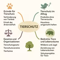 Vorschau - Arbeitsblätter - Lernposter + Arbeitsblatt "Ethik im Tierschutz" + interaktive Lösung & MP3 + Mindmap + Infografik - Seite 3