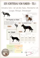Vorschau - Arbeitsblätter - Körperbau Hund - Teil 1 (interaktive Datei, Arbeitsblätter, Onlineübungen etc.) - Deckblatt