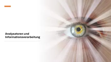 Vorschau - Stundenentwürfe - Analysatoren und Informationsverarbeitung - Seite 2