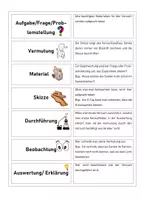 Vorschau - Spiele - Zuordnungsspiel Versuchsprotokoll schreiben Biologie - Seite 1