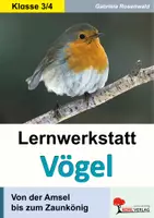 Vorschau - Stationenlernen - Lernwerkstatt Vögel Grundschule | Amsel, Rotkehlchen, Meise, Specht, Zugvögel, Standvögel, Vogelkunde, Fortpflanzung, Nestbau | Sachunterricht Klasse 3-4 Lösungen - Deckblatt
