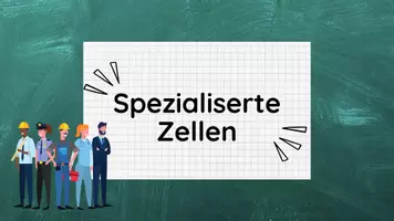 Vorschau - Stundenentwürfe - PPT spezialisierte Zellen inkl Lösungen, Bew-Raster & Spiel - Zellen Teil 5 - Biologie - Seite 3