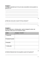 Vorschau - Test - Materialpaket Lernkontrollen Biologie - Seite 3
