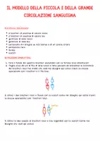 anteprima - Esperimenti - Scheda modello circolazione sanguigna umana - Pagina 1