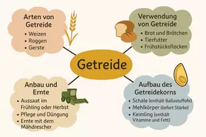 Vorschau - Arbeitsblätter - Lernposter + Arbeitsblätter zum Thema "Getreide" + Lösung & MP3 + Mindmap + Infografik - Seite 3