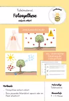 Vorschau - Präsentationen/Tafelbilder - Fotosynthese Tafelmaterial - anschauliche Bilder & vereinfachte Erklärung - Deckblatt