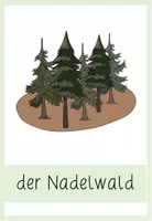Vorschau - Poster - Mini Poster Waldarten - Seite 1